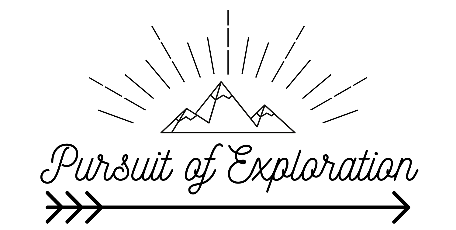 Pursuit of Exploration